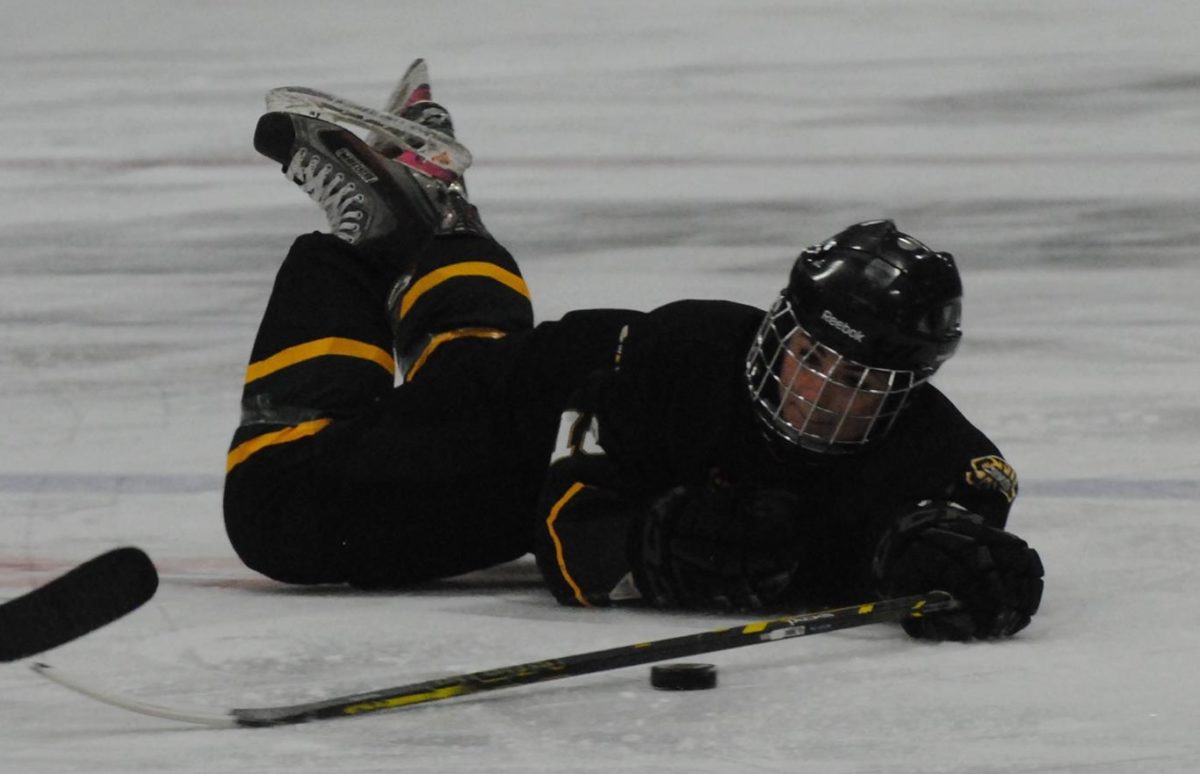 Michelle Savoie of the St. Thomas University Tommies women's hockey team dives at the blue line to keep the puck on-side against the Dalhousie University Tigers on Tuesday night. The Tommies won the game 7-3. (Jeremy Trevors)