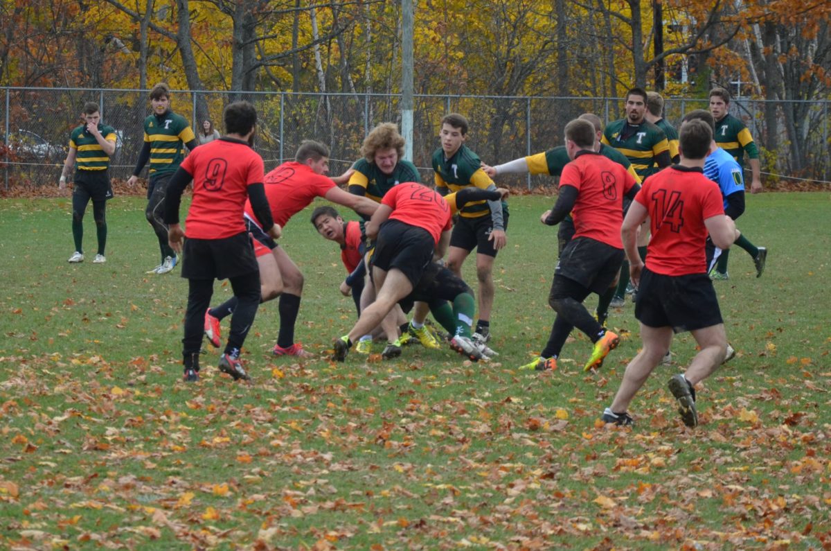 Members of the University of New Brunswick Ironmen, in red, and St. Thomas University Tommies, in stripes, tackle during the Rugby New Brunswick Maritime University 'A' final Saturday at College Field. Photo: Nathan DeLong/The AQ 