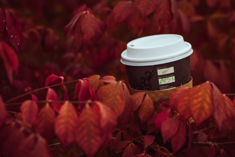 From pumpkin spice to Gilmore Girls: Students share their fall favourites