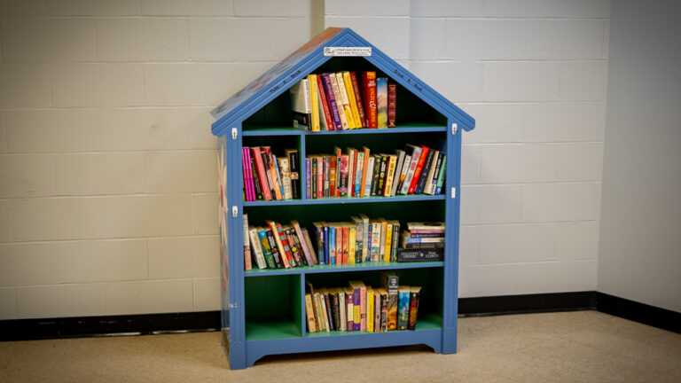 Photo Essay: Little Free Libraries