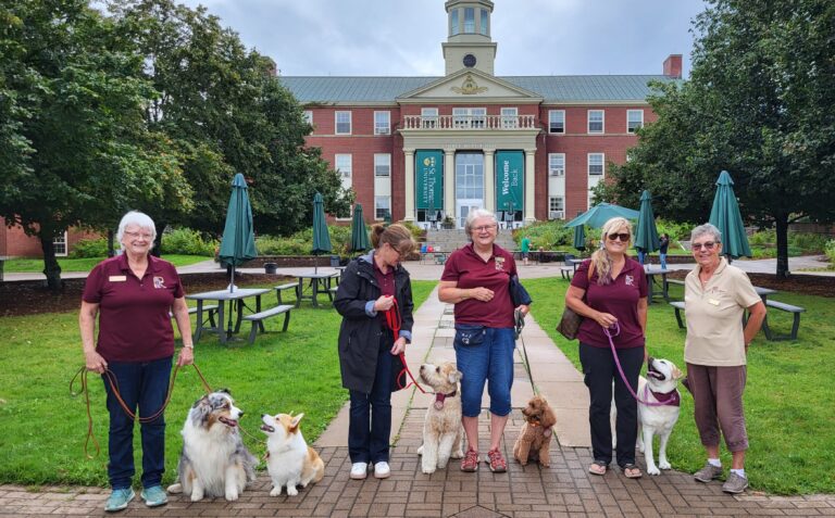 Therapy dogs help with student stress over reading week