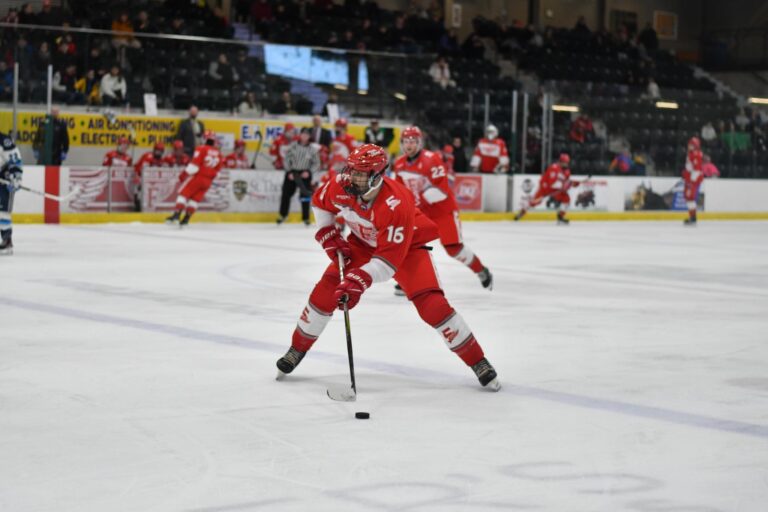 Fredericton Red Wings celebrate their fifth anniversary season